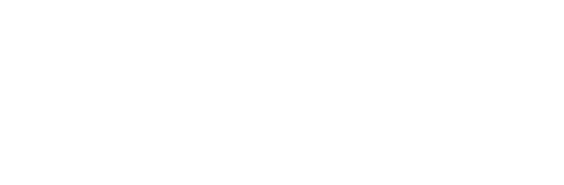 Supplementen voor dummies logo